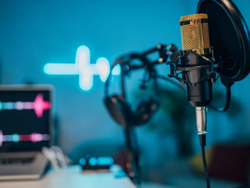 bsl-rec-f2-1 Professional studio microphone used for game voice-over recording and localization